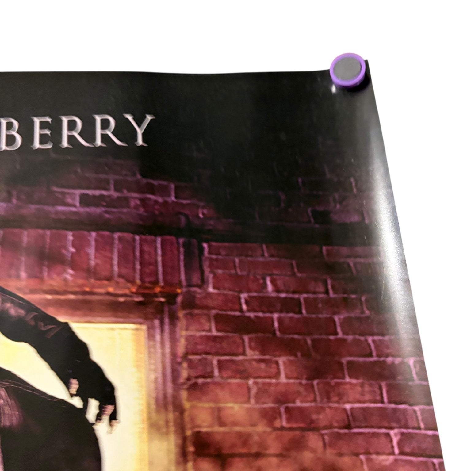 Vintage Catwoman 2004 Promotional Movie Poster Halle Berry Warner Bros. 25"x17"