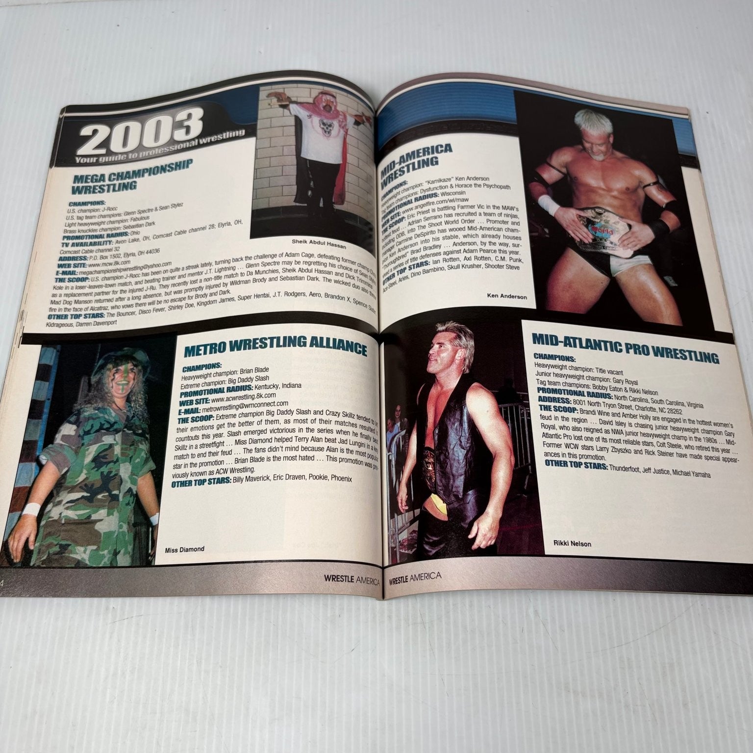 Wrestle America 2003 Annual Magazine The Rock Professional Wrestling Guide