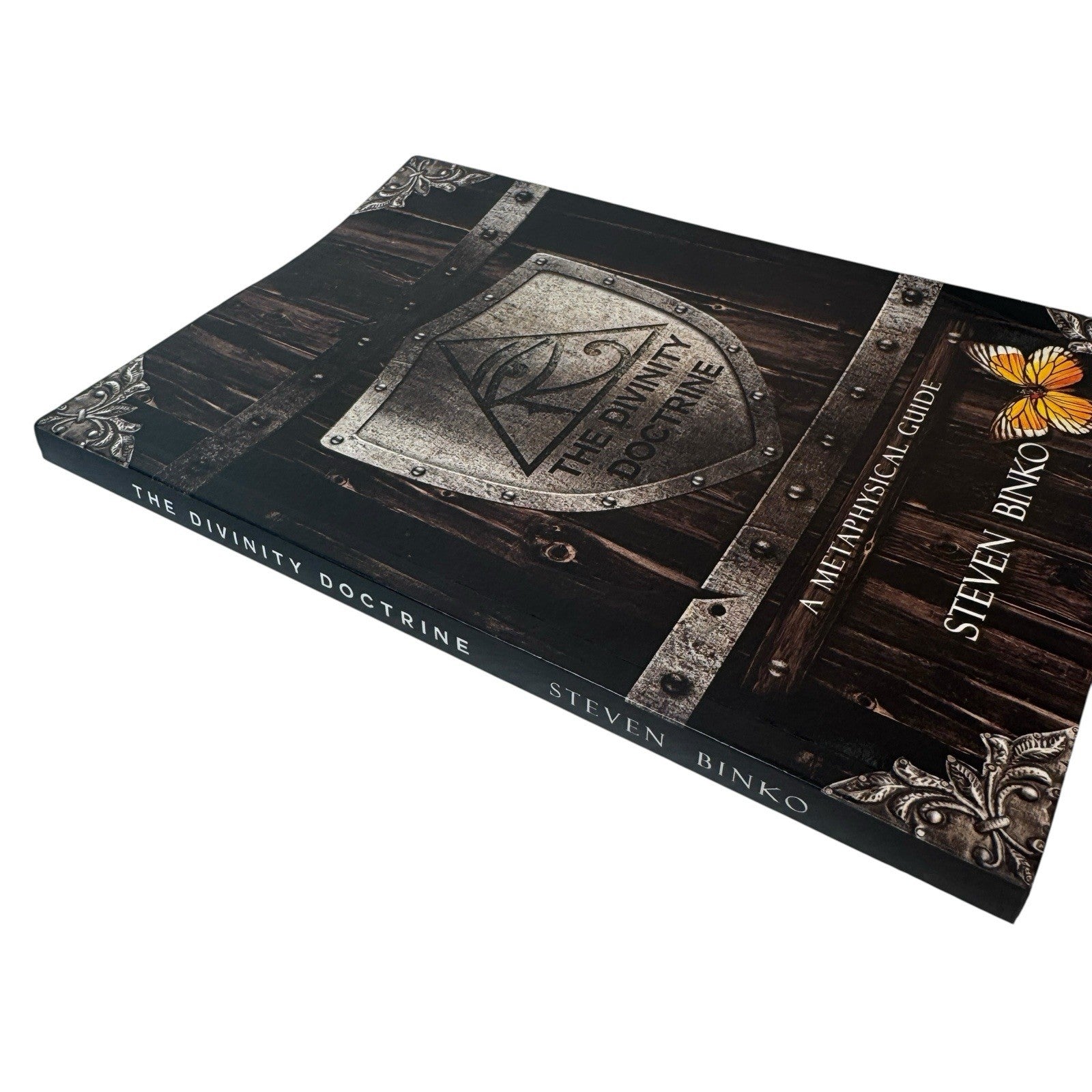 The Divinity Doctrine A Metaphysical Guide By Steven Binko 2014