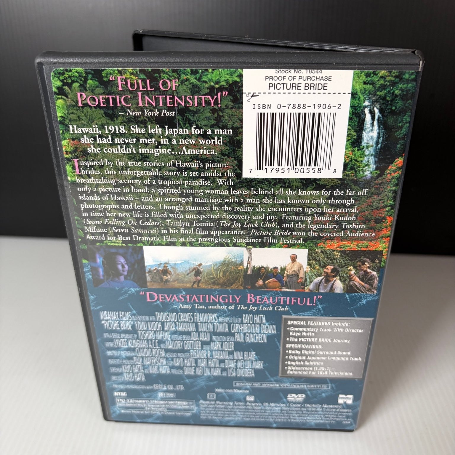 Picture Bride DVD 1995 Special Edition Youki Kudoh Kayo Hatta