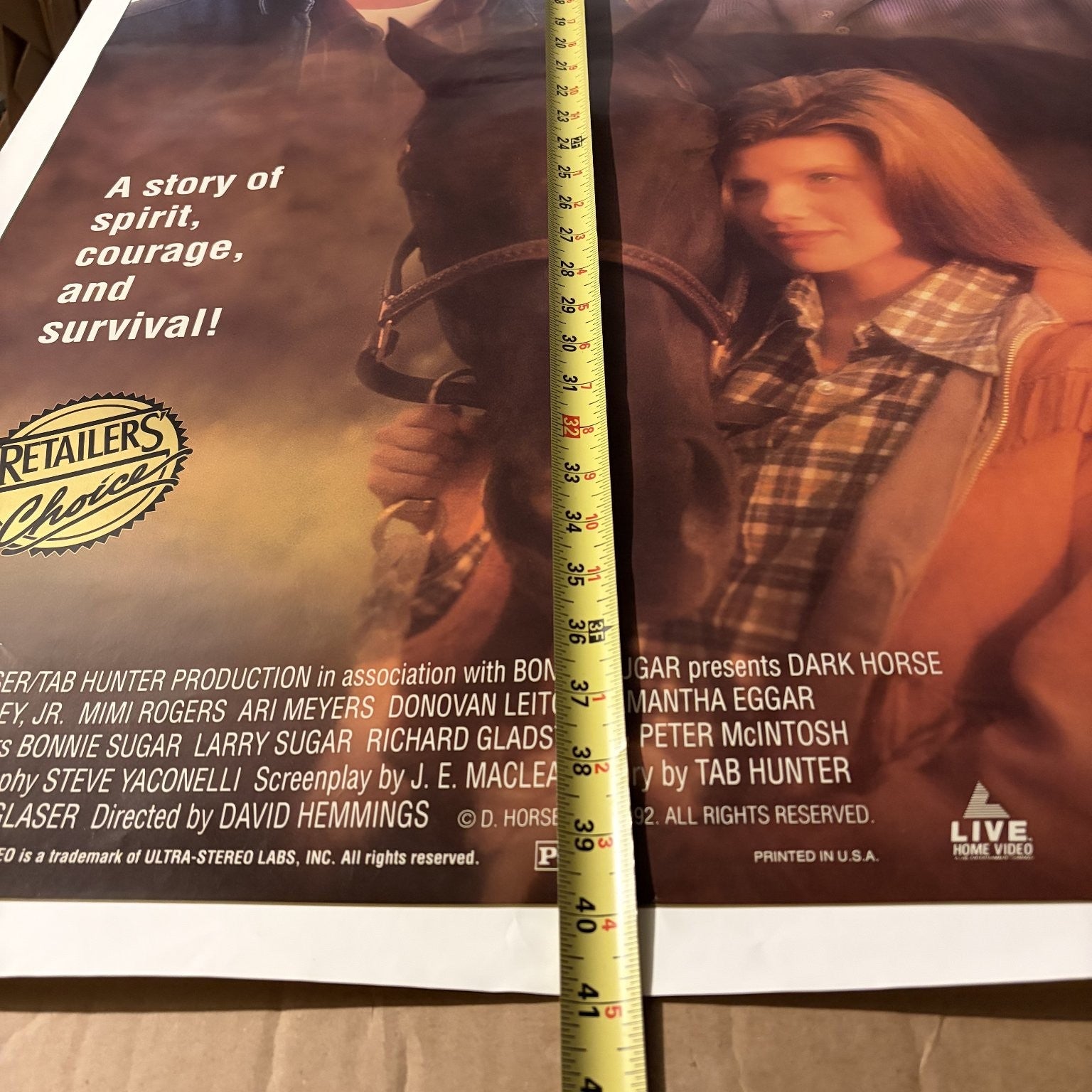 Dark Horse 1992 One-Sheet Movie Poster US Ed Begley Jr. Mimi Rogers
