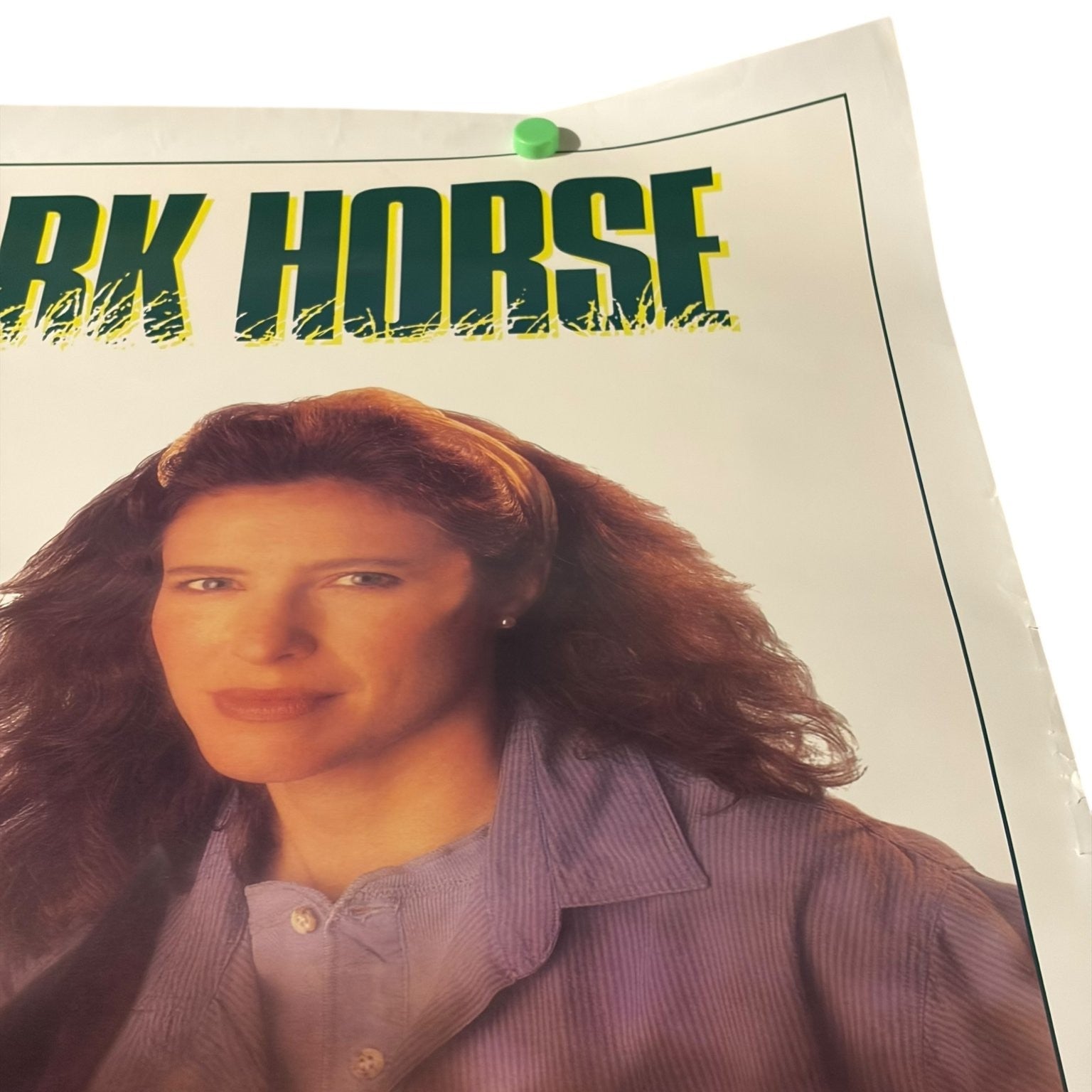 Dark Horse 1992 One-Sheet Movie Poster US Ed Begley Jr. Mimi Rogers