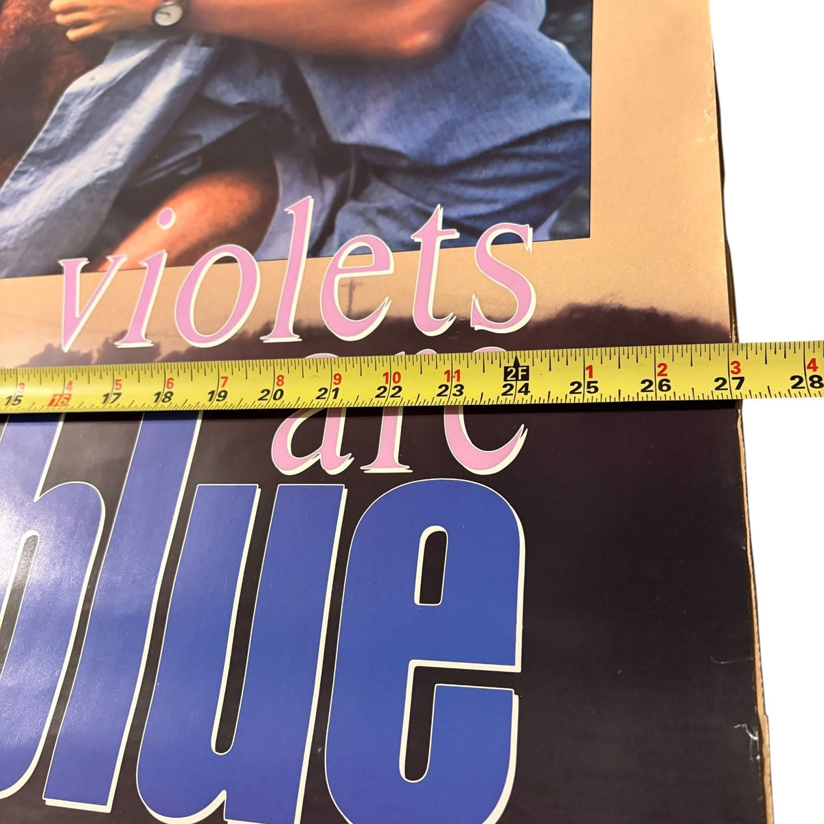 Vintage Violets Are Blue 1986 Video Store Movie Poster Sissy Spacek Kevin Kline