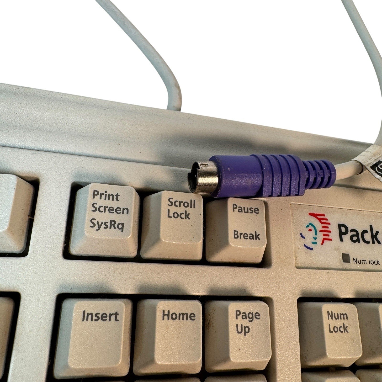 Vintage Packard Bell Model 5130 PS/2 Computer Mechanical Keyboard Clicky Keys