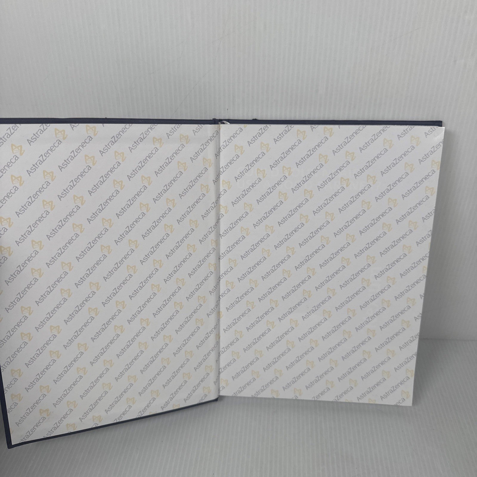Drug Rep Pharmaceutical Nexium Promotional Journal 2005 (Blank pages!)