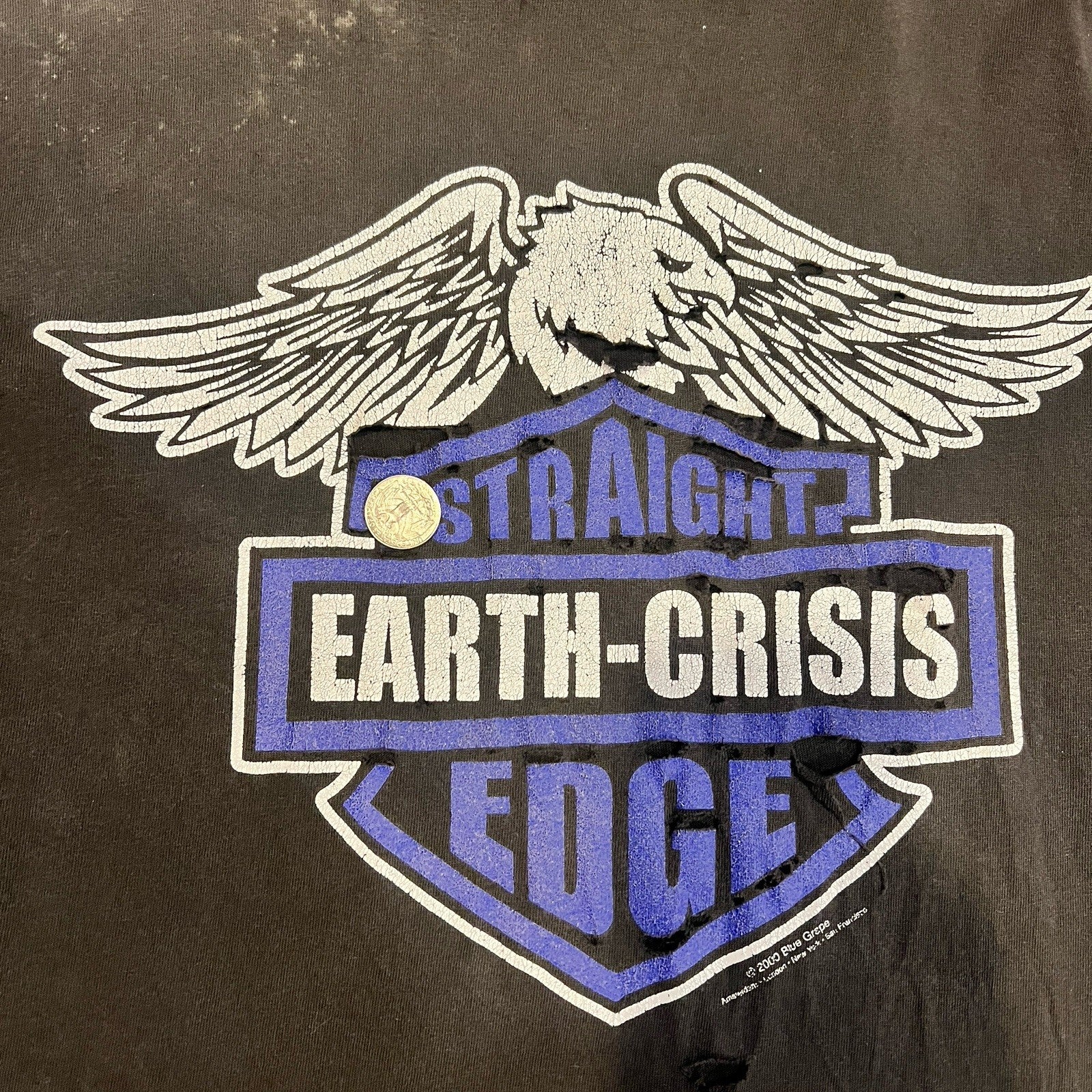 Vintage Distressed Earth Crisis Straight Edge Harley Logo M Y2K Blue Grape Rag