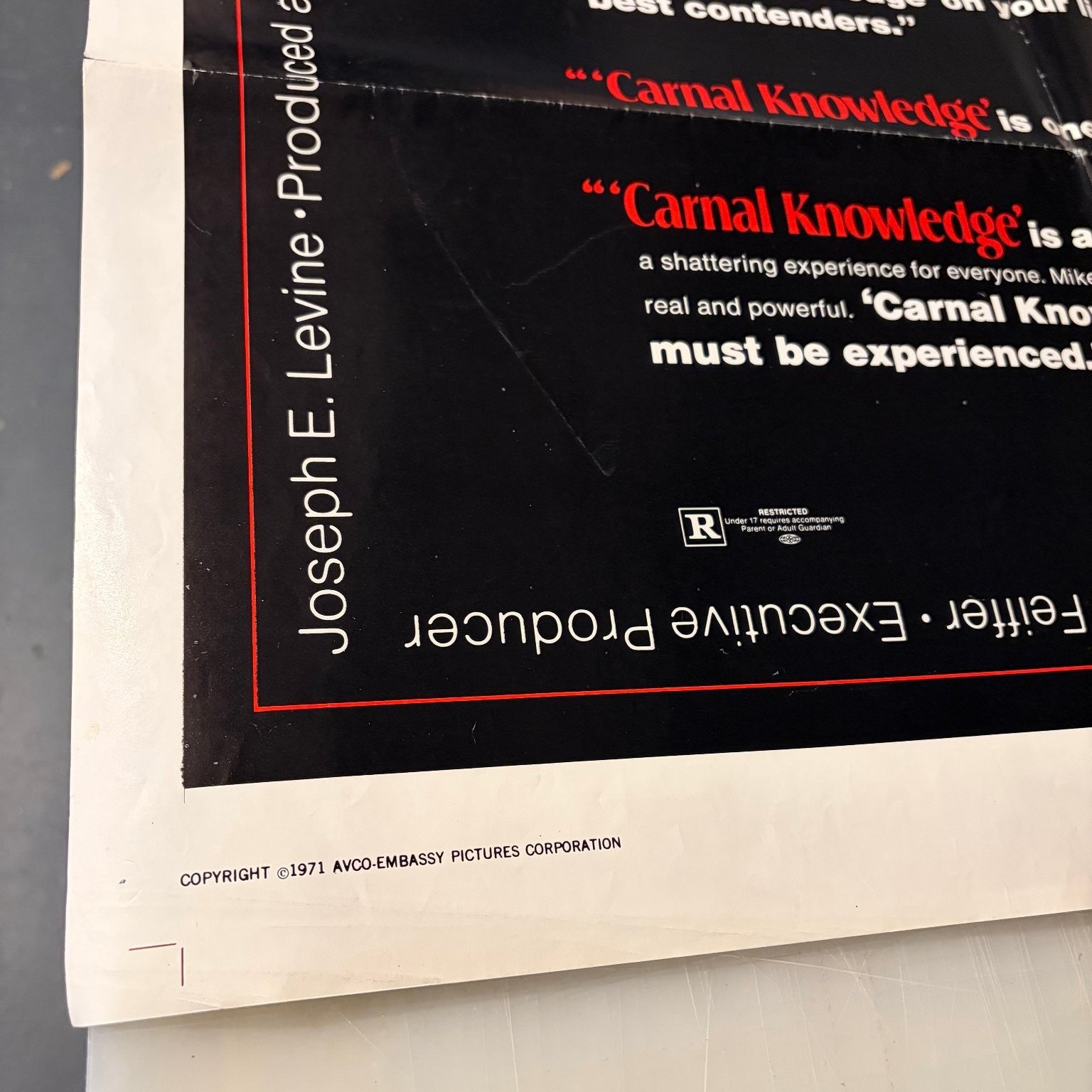 Vintage Carnal Knowledge 1971 One-Sheet Movie Poster Jack Nicholson Mike Nichols