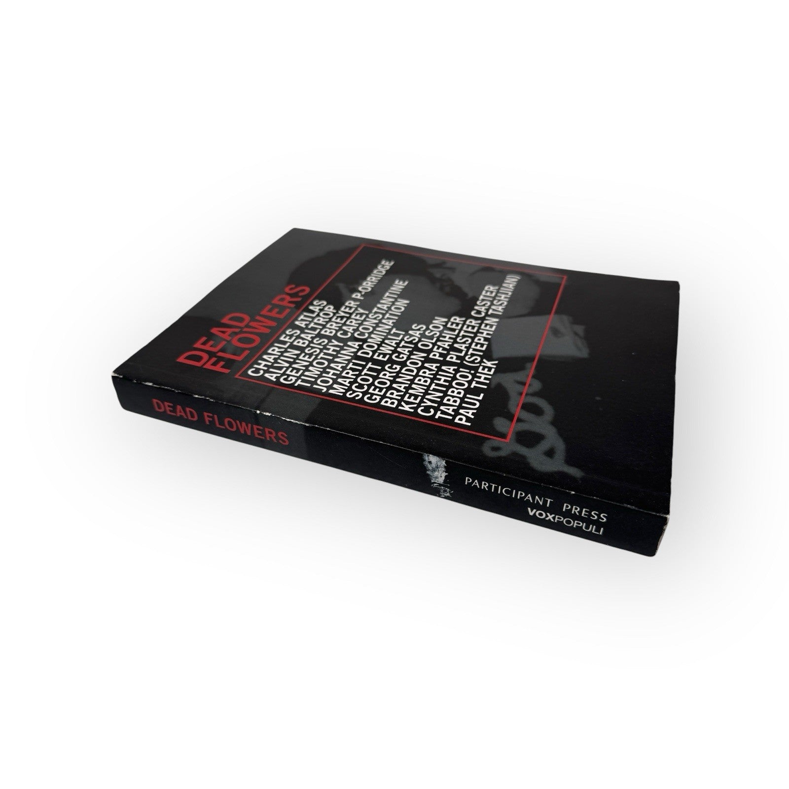 Dead Flowers 1st Edition Art Book 2011 Exhibition Vox Populi Philadelphia