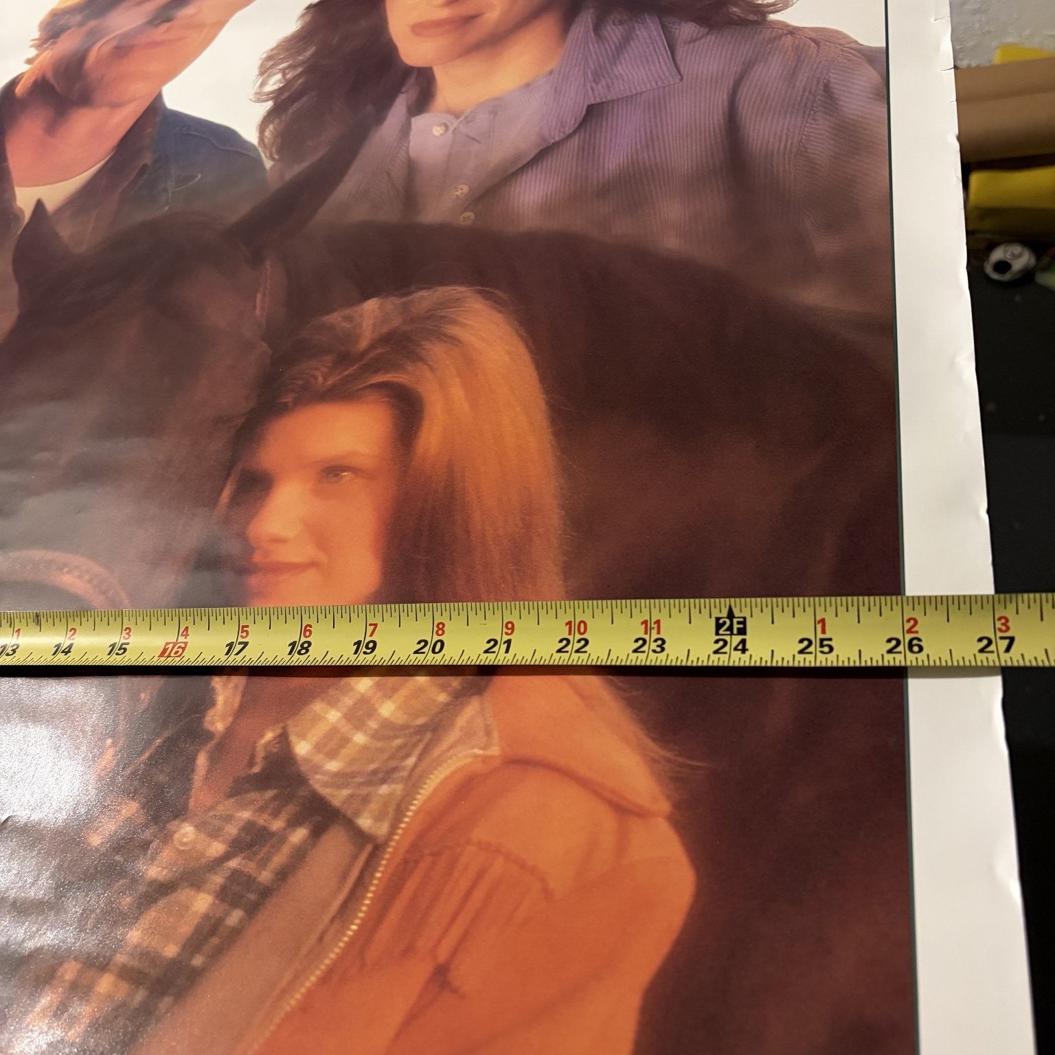Dark Horse 1992 One-Sheet Movie Poster US Ed Begley Jr. Mimi Rogers