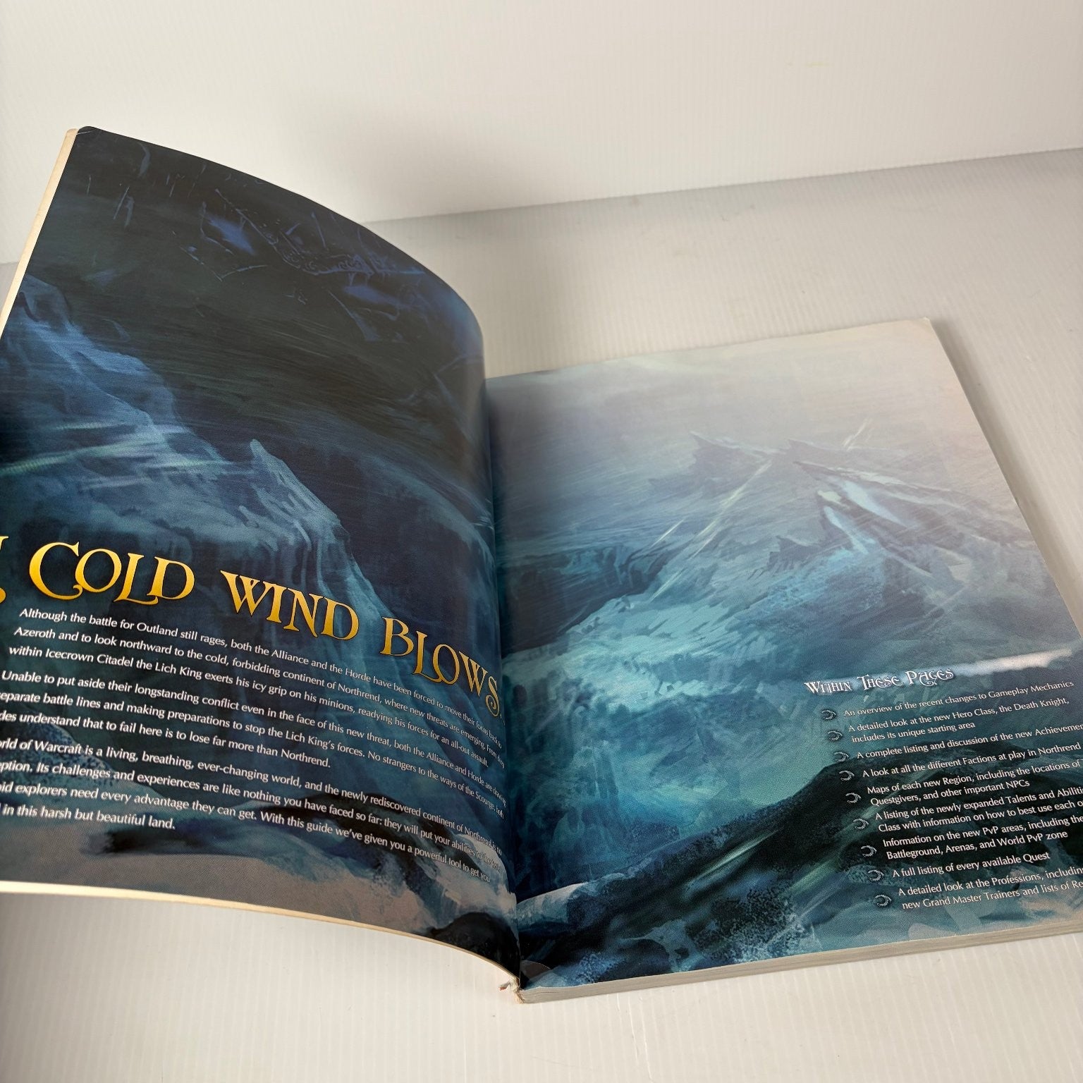 World of Warcraft Wrath of the Lich King PC Mac Official Strategy Guide