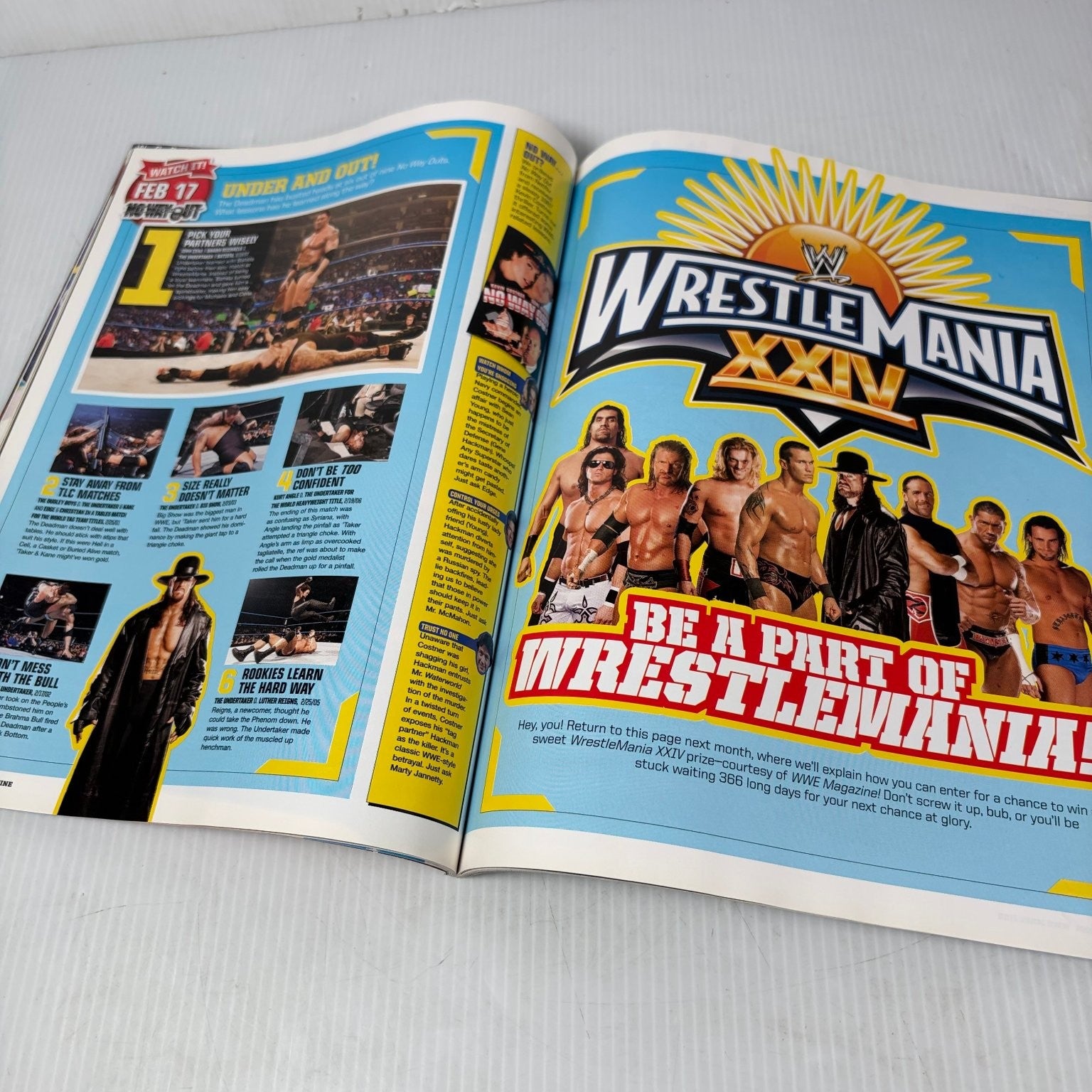 WWE Magazine Best of 2007 Superstars January 2008 Wrestling