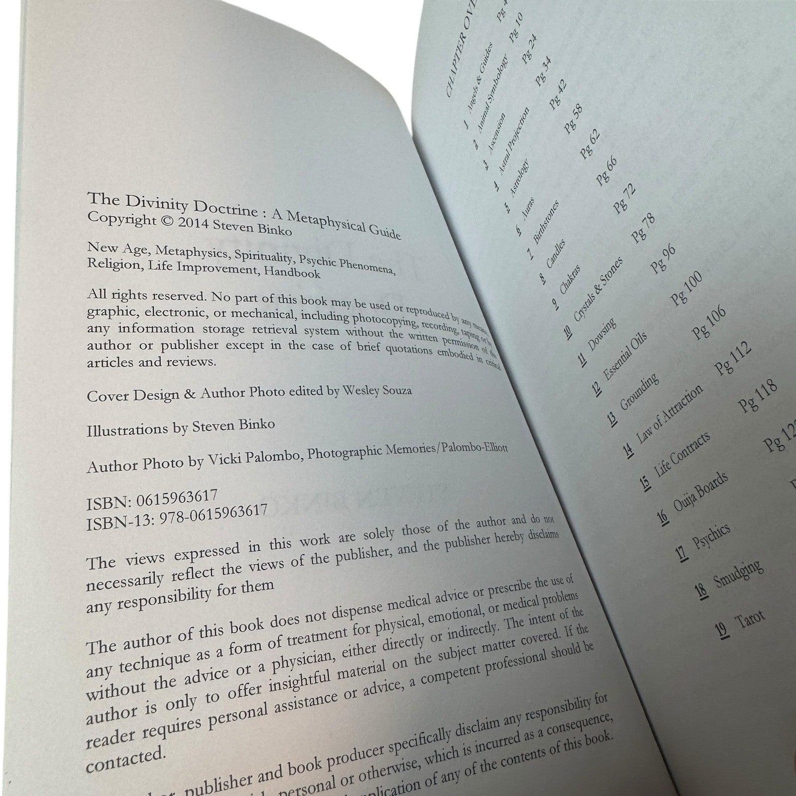 The Divinity Doctrine A Metaphysical Guide By Steven Binko 2014