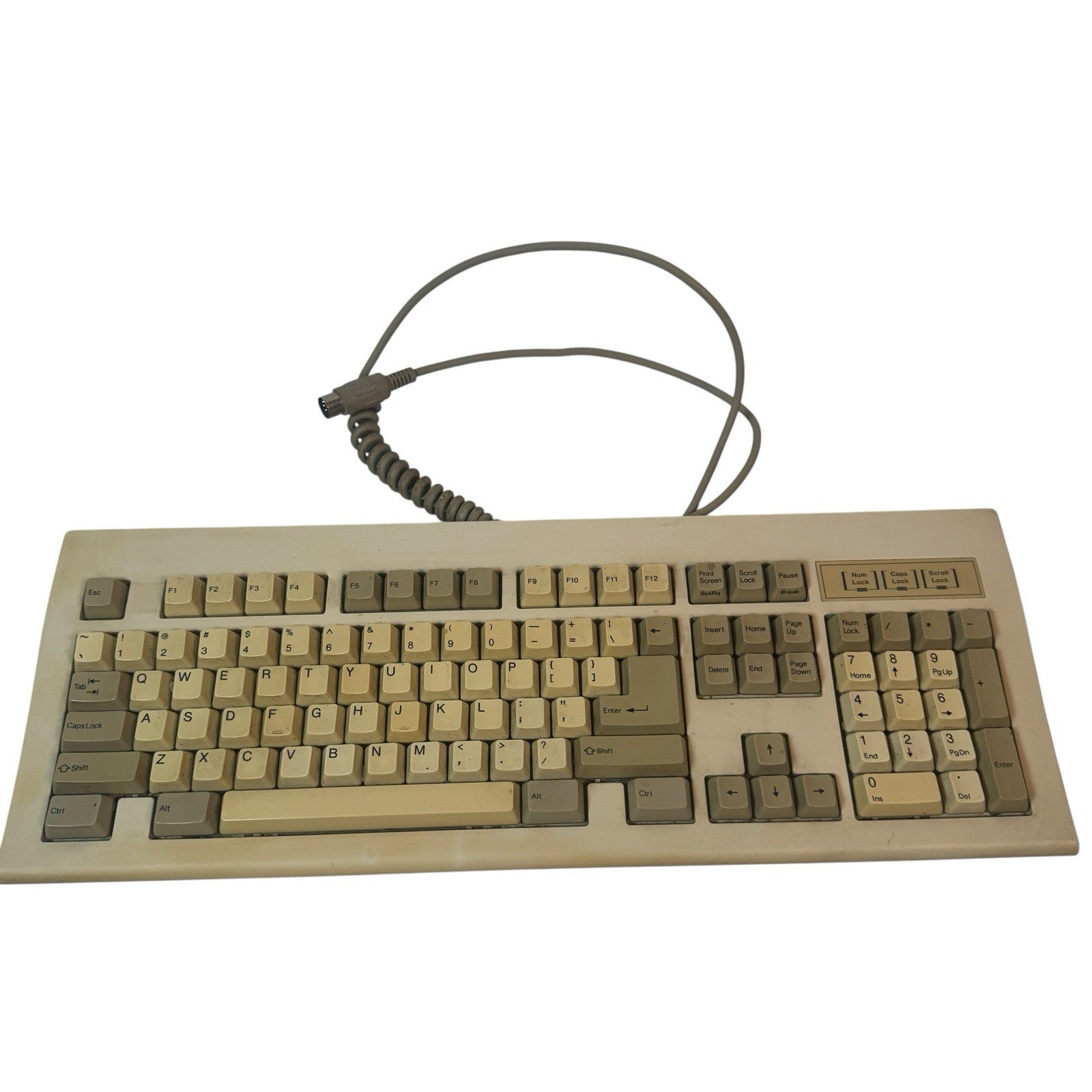 Vintage Chicony KB-5311 Mechanical Keyboard Coiled Cable Thailand