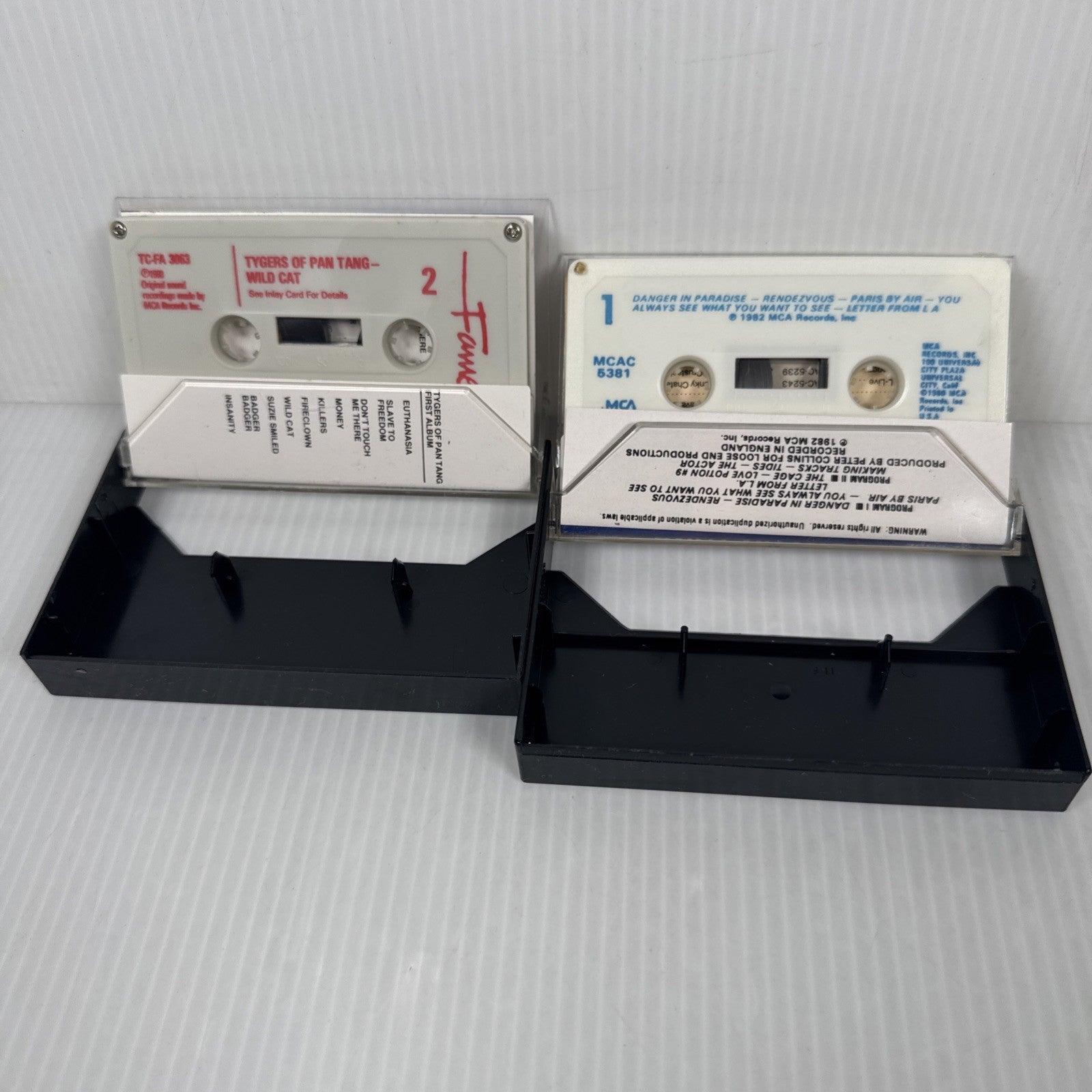 Tygers Of Pan Tang Cassette Lot Of 2 Wild Cat & The Cage Vintage 1980s Metal