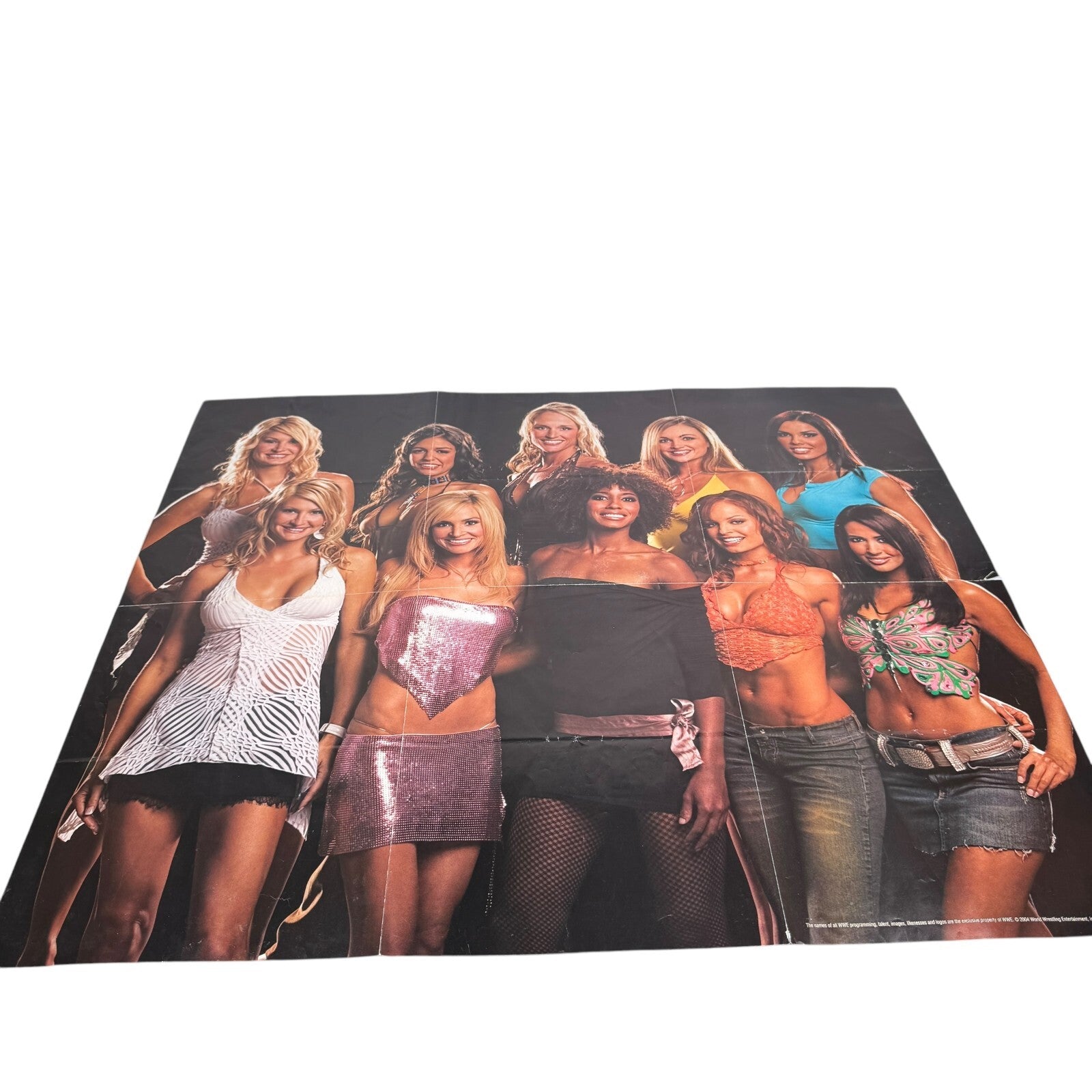 2-Sided WWE Divas Poster Ft. Christy Hemme & Group Photo VTG 2004