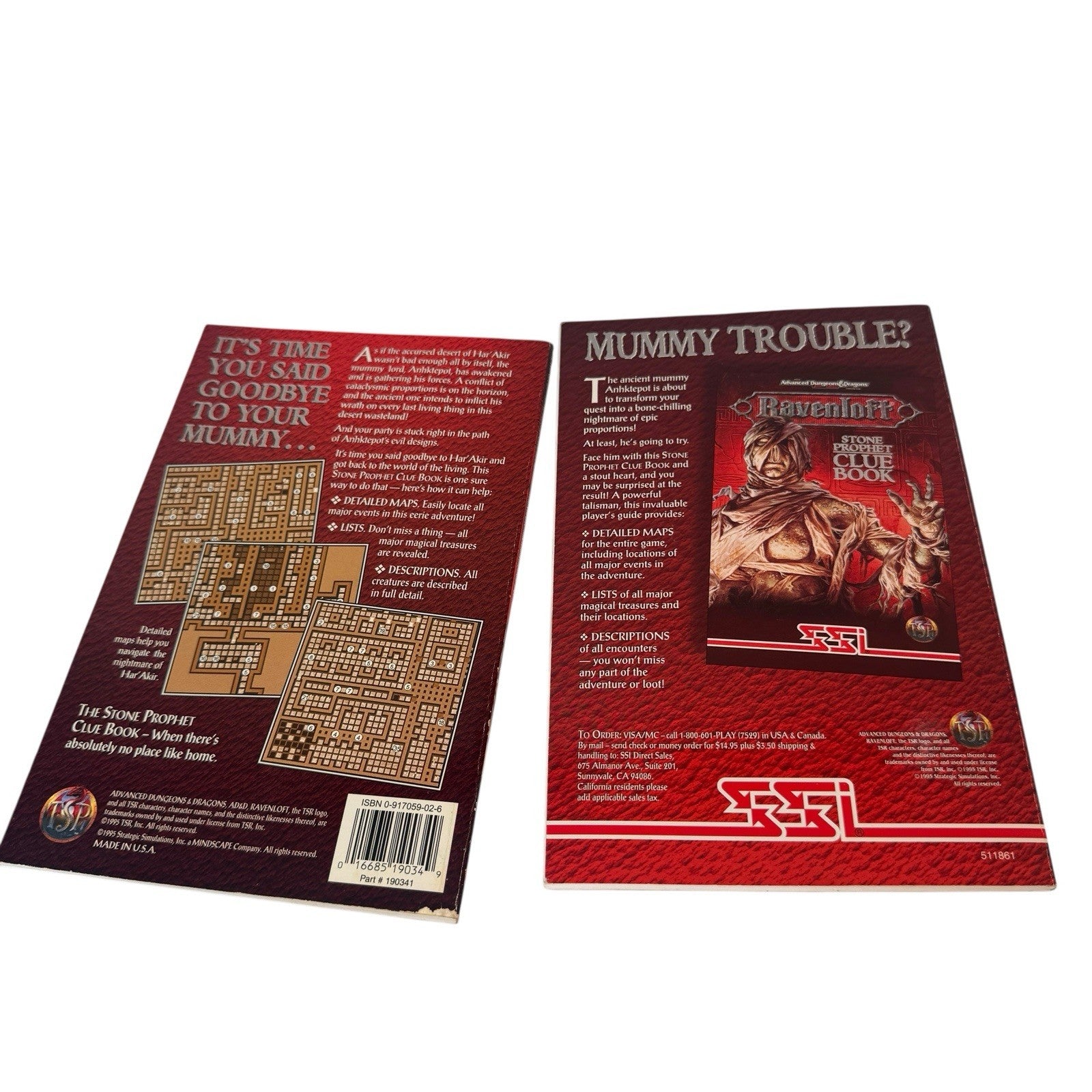 Ravenloft Stone Prophet AD&D PC Game With Manual, Insert & Mail Away Clue Book