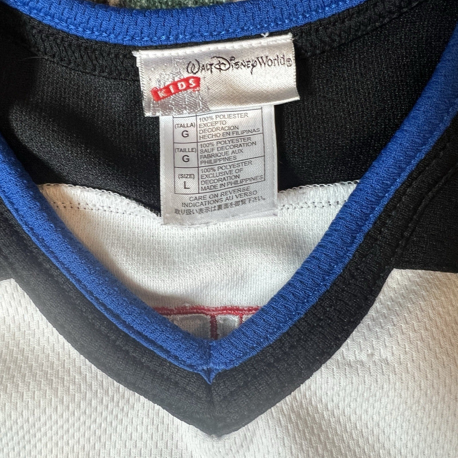 Walt Disney World 2008 Hockey Jersey Mickey & Friends Design Youth XL