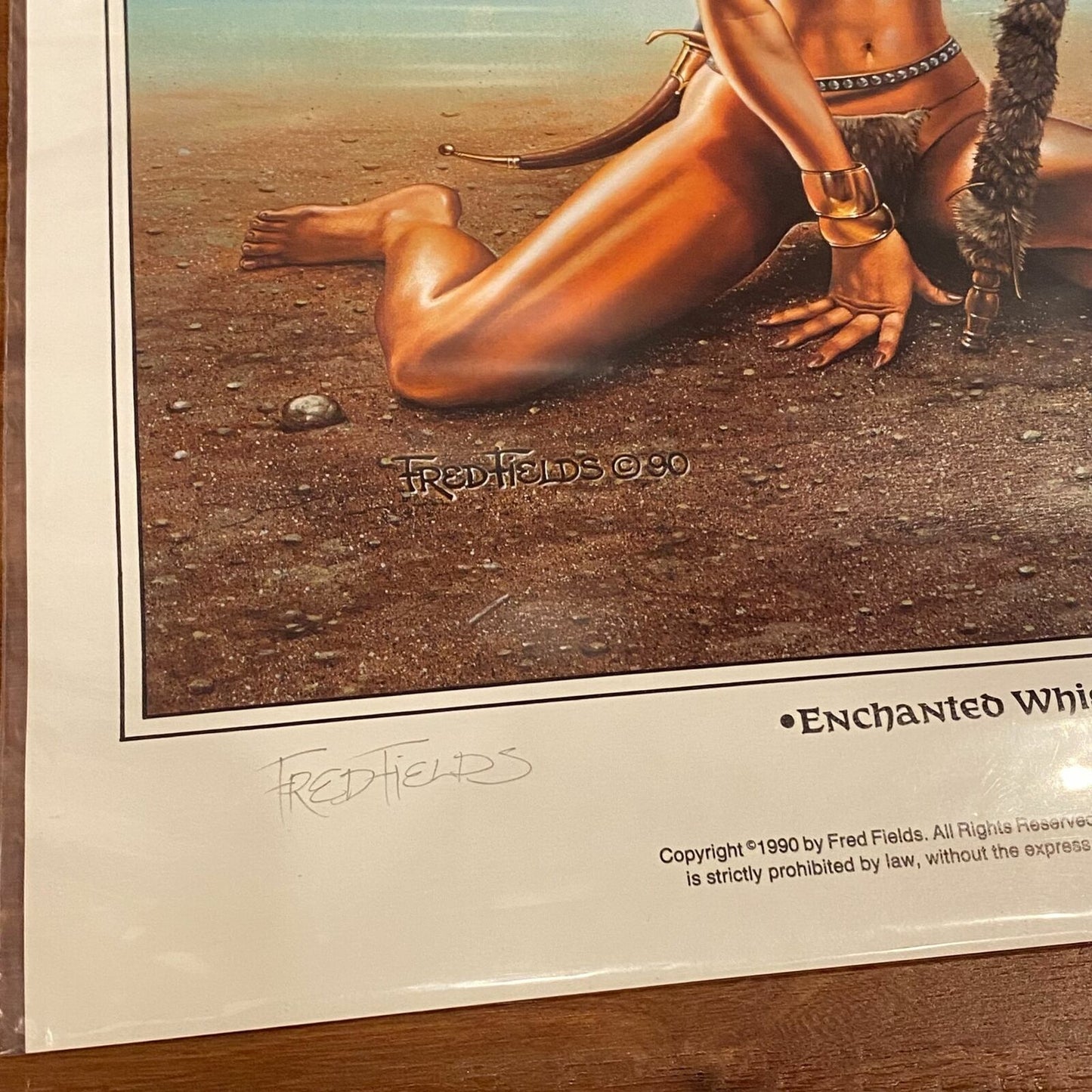 Enchanted Whisper AD&D Dragon Limited Print Signed 139/500 Fred Fields 15x11.5