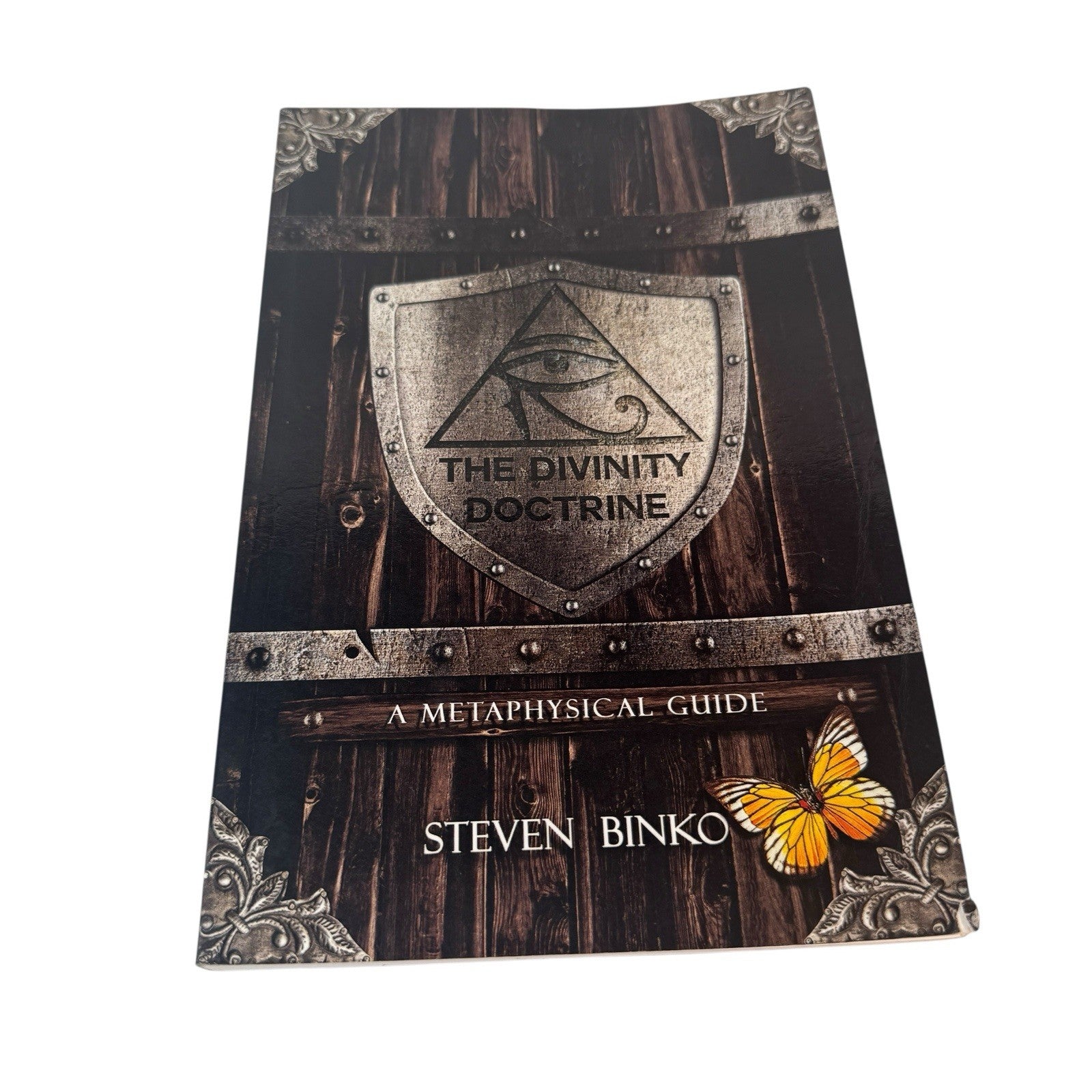 The Divinity Doctrine A Metaphysical Guide By Steven Binko 2014