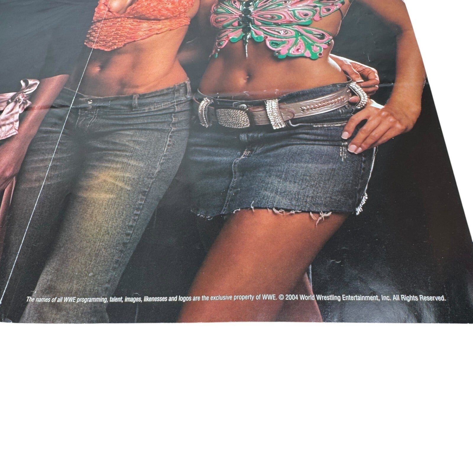 2-Sided WWE Divas Poster Ft. Christy Hemme & Group Photo VTG 2004