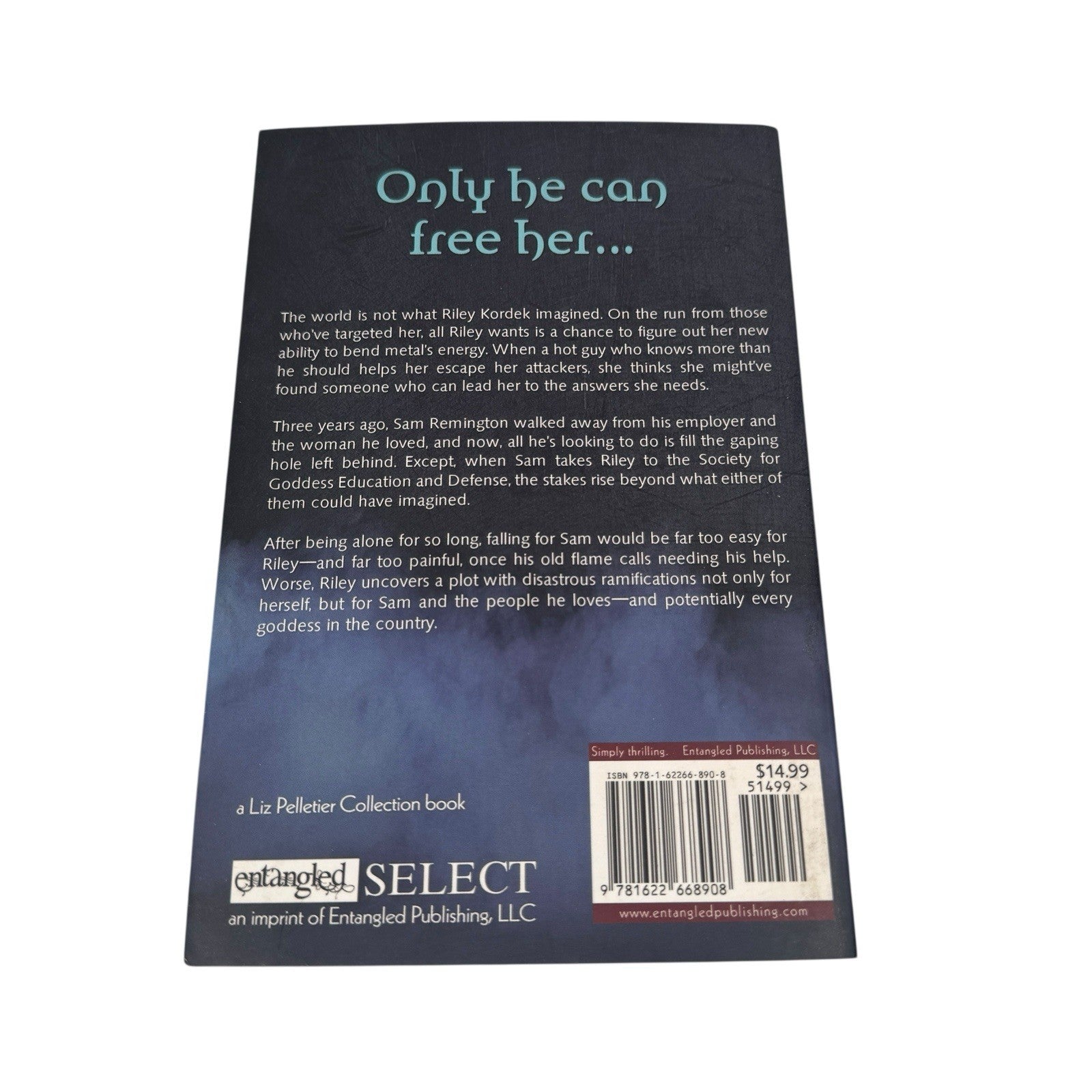 Heavy Metal Goddesses Rising Natalie J. Damschroder Autographed Copy Romantasy