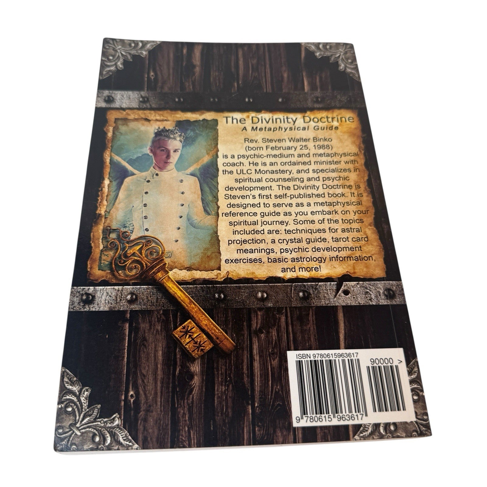 The Divinity Doctrine A Metaphysical Guide By Steven Binko 2014