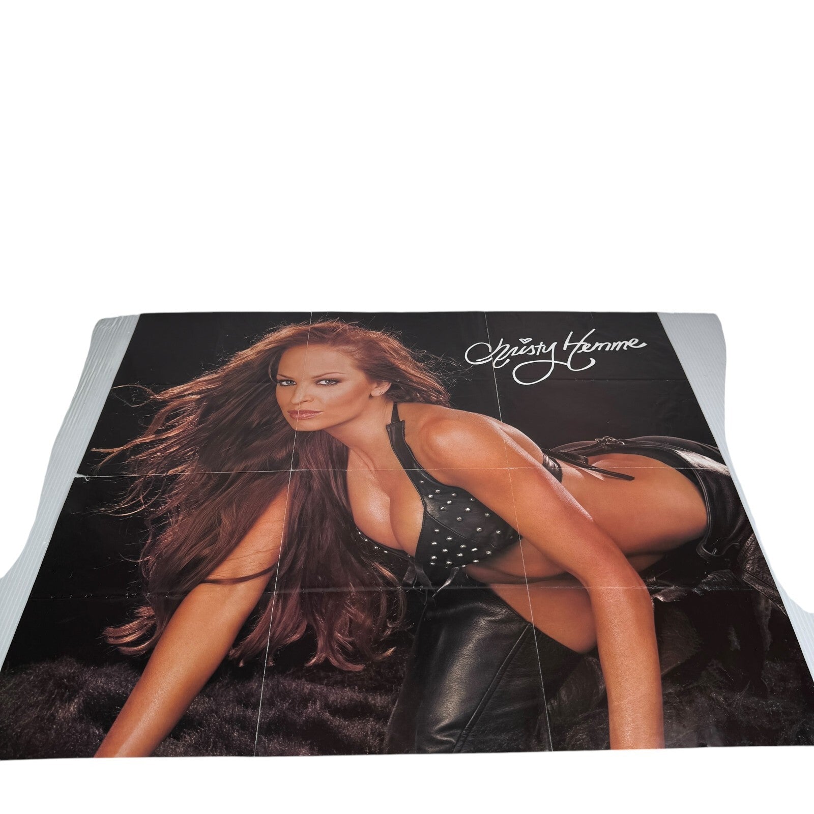 2-Sided WWE Divas Poster Ft. Christy Hemme & Group Photo VTG 2004