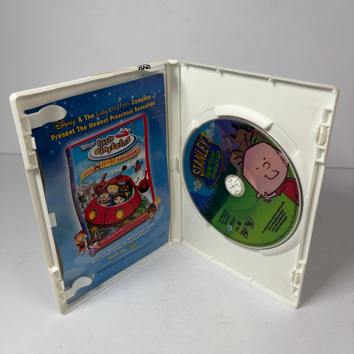 Stanley's Dinosaur Round-Up DVD Disney Children's Family Movie Full-Length NTSC