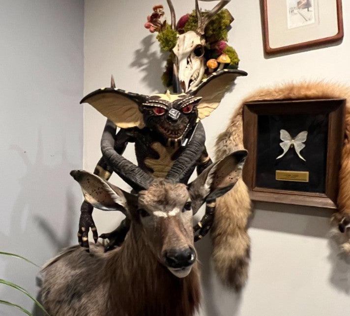 Full Size Gremlins Evil Gremlin Puppet Prop Trick or Treat Studio 28"