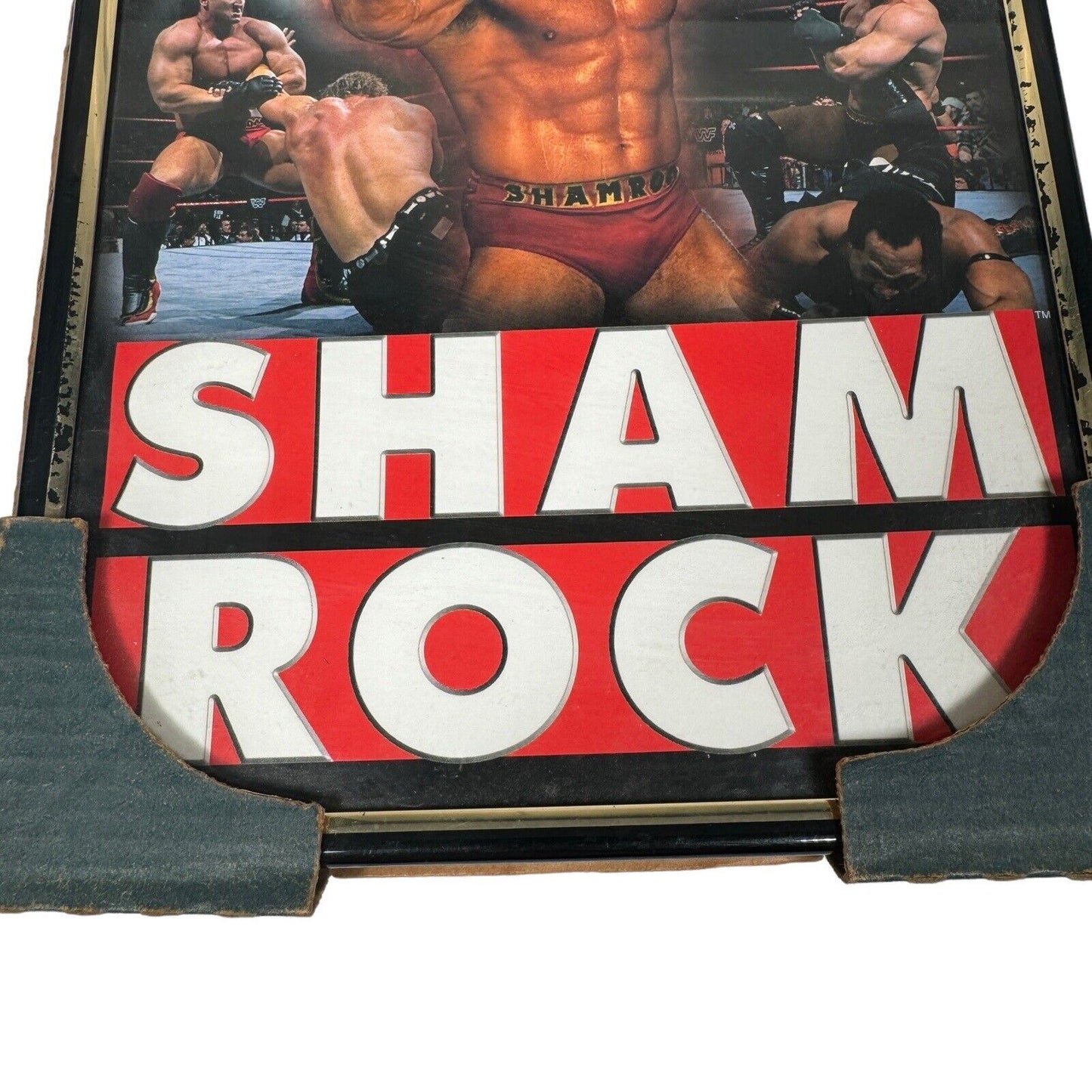 Norman James Ken Shamrock 8x10 Framed Photo