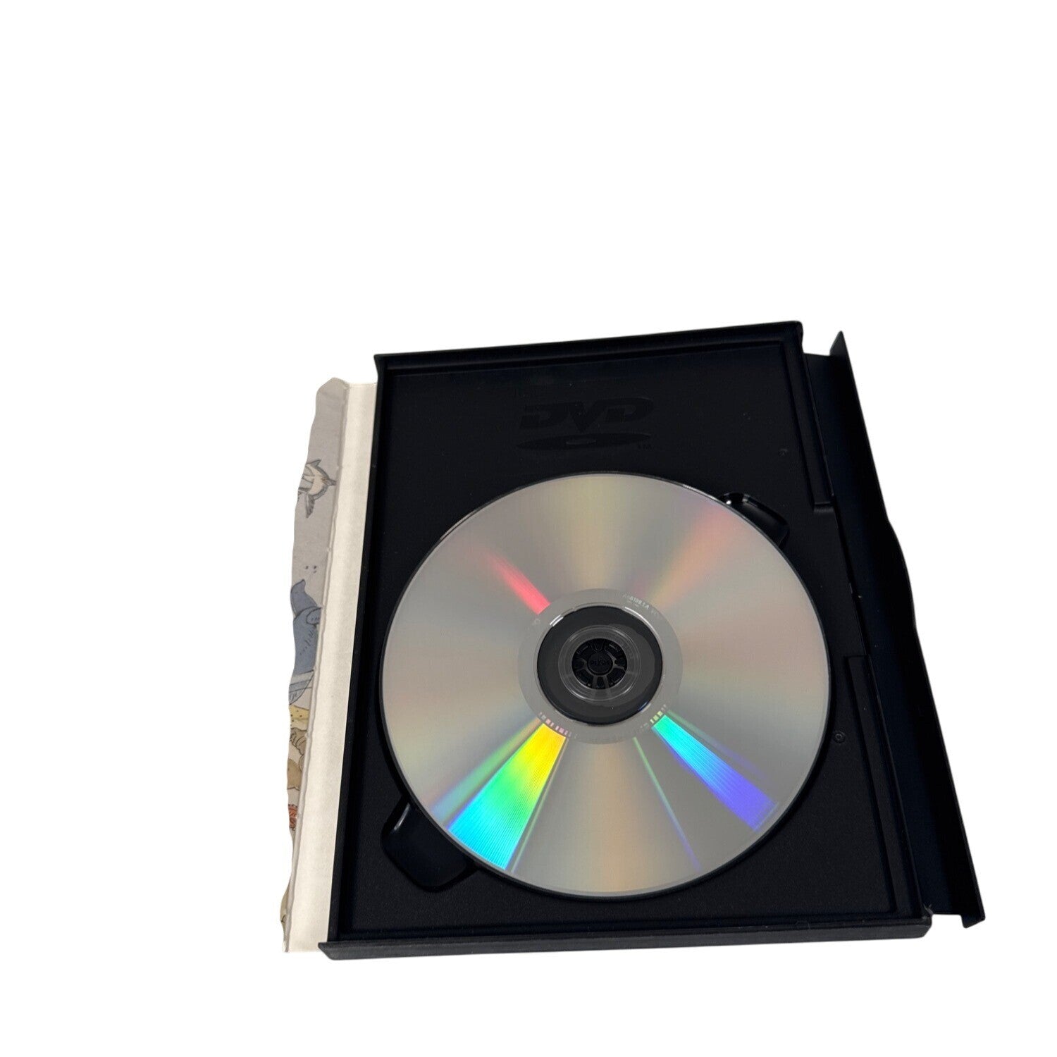 Noah's Ark Stories to Remember DVD