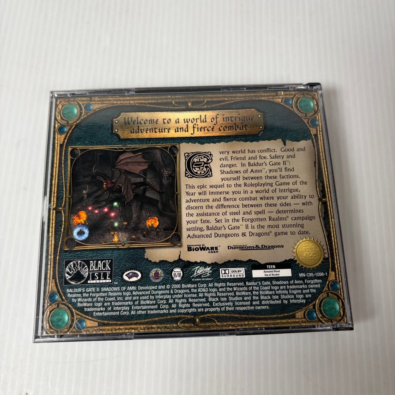 Baldur's Gate II Shadows of Amn PC Video Game Dungeons & Dragons RPG