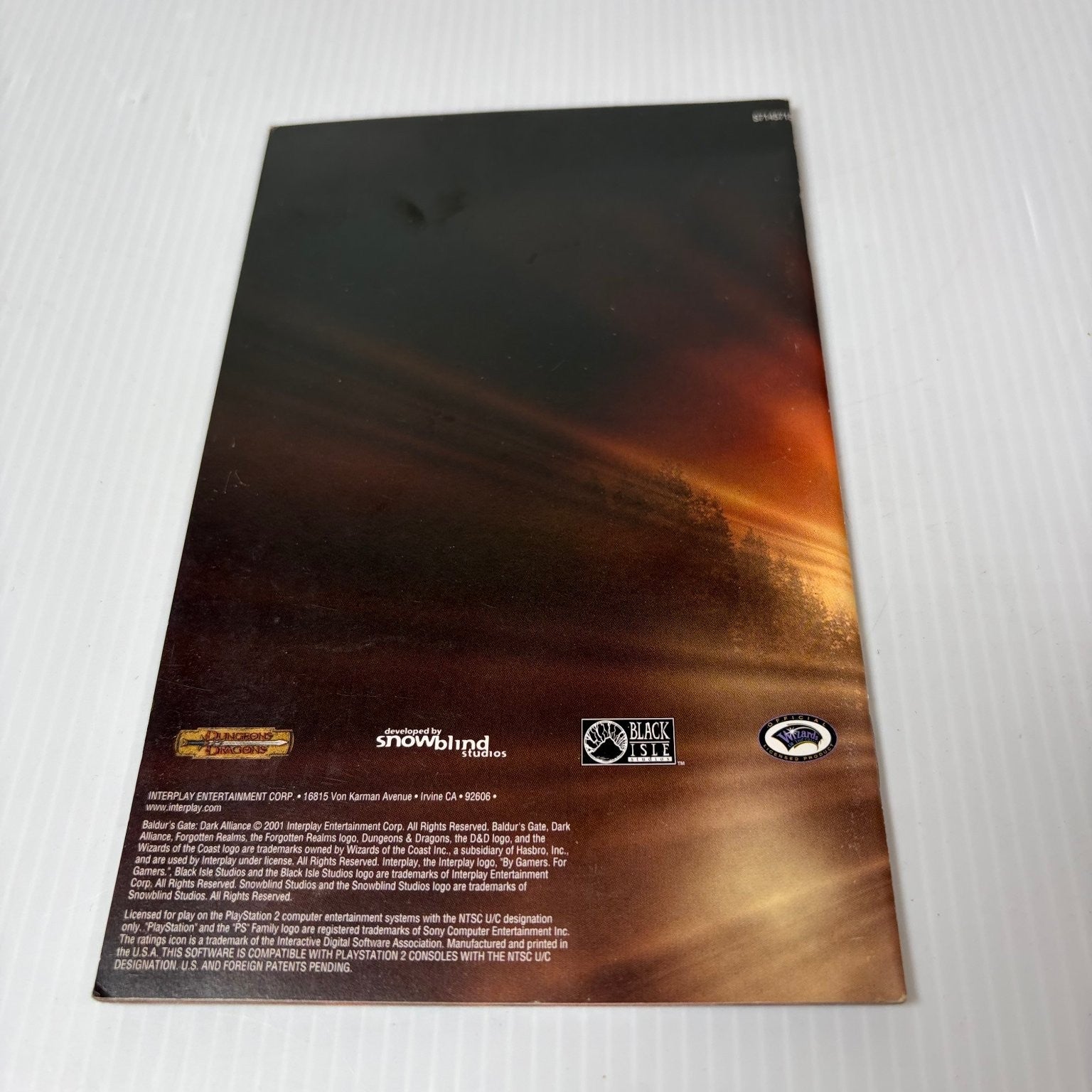Baldur's Gate Dark Alliance Manual Only PlayStation 2 PS2 Original Replacement