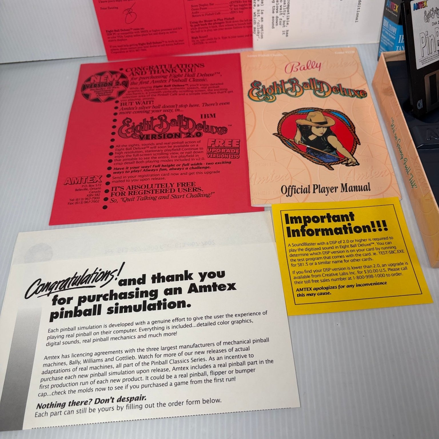 Eight Ball Deluxe Pinball IBM PC Video Game Amtex Bally Classic Complete