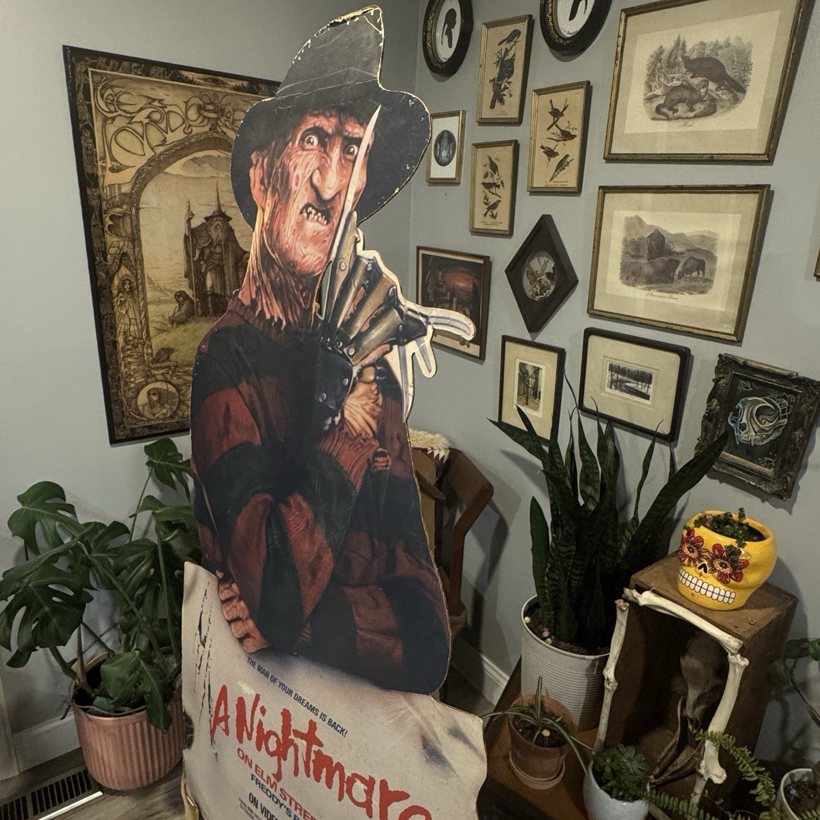 Nightmare On Elm Street 2: Freddy’s Revenge 1986 Life Size Video Store Standee